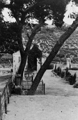 ORAN 02417